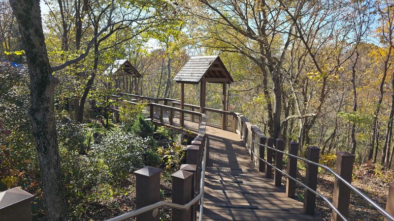 Why Glenwood Gardens Feels Like a Hidden Gem Why Glenwood Gardens Feels Like a Hidden Gem