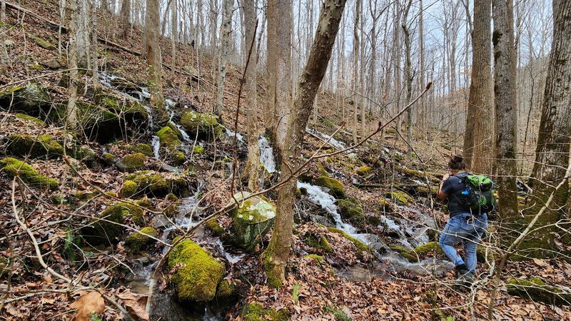 Why Hemlock Falls Trailhead Belongs on Your Tennessee Waterfall List