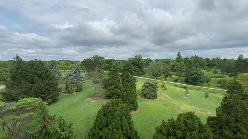 Why It Is One Of Dayton's True Gems