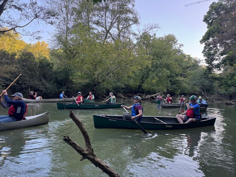 Why Lookout Creek Makes This Spot Even More Special