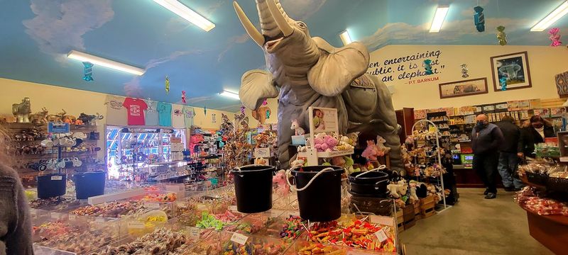 Why Mister Ed’s remains one of Pennsylvania’s happiest oddities