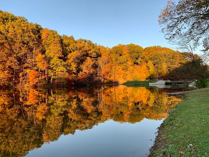 Why Mt. Gilead State Park Feels Like A Real Hidden Gem