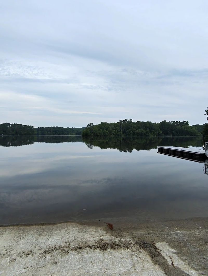 Why Natchez Trace State Park Belongs on Your Tennessee Getaway List