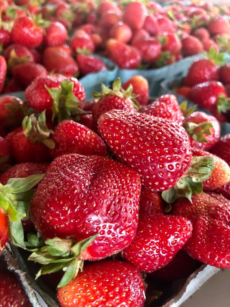 Why Shoppers Keep Coming Back to Englewood Farm Market