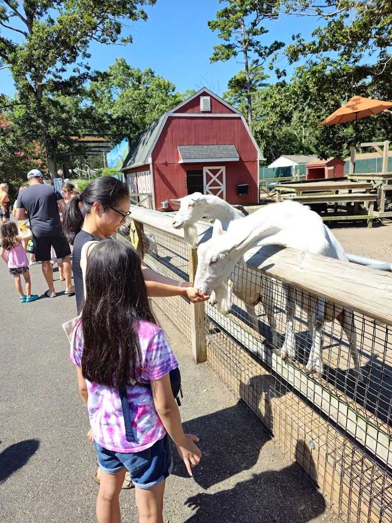 Why Shore Families Should Add This Stop to Their Summer Plans