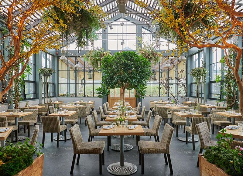 Why Terrain Cafe Keeps Drawing People Back