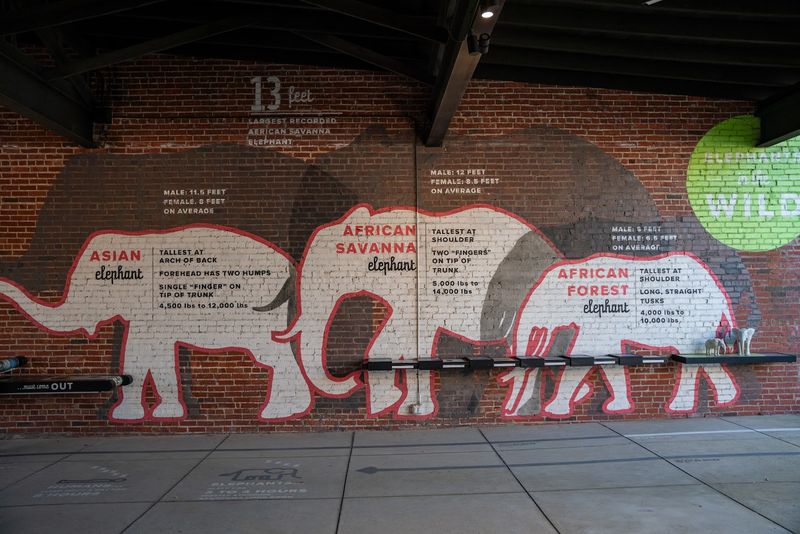 Why The Elephant Sanctuary Feels So Magical, Even From Afar Why The Elephant Sanctuary Feels So Magical, Even From Afar