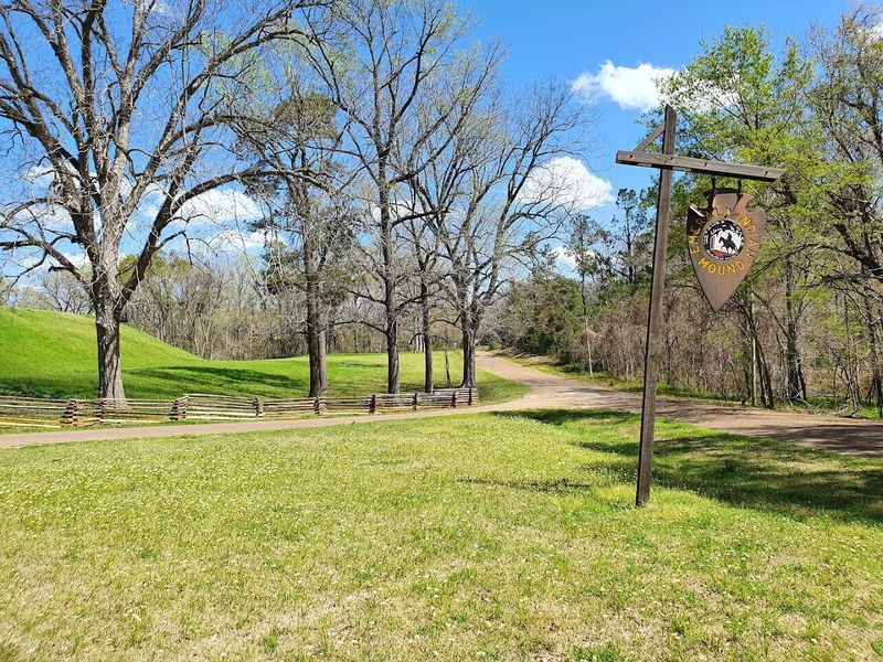 Why The Natchez Trace Parkway Feels Like A Road Trip Back In Time Why The Natchez Trace Parkway Feels Like A Road Trip Back In Time