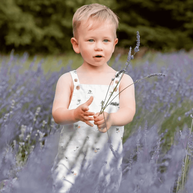 Why This Dreamy Farm Makes the Perfect Summer Day Trip Why This Dreamy Farm Makes the Perfect Summer Day Trip