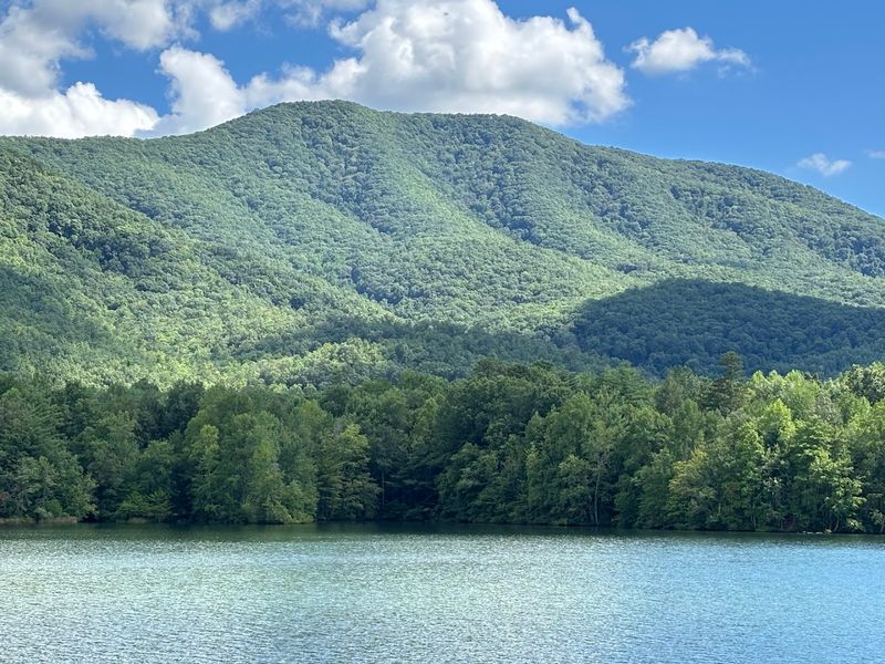 Why This Forest Feels More Peaceful Than Tennessee's Most Famous National Park Why This Forest Feels More Peaceful Than Tennessee's Most Famous National Park