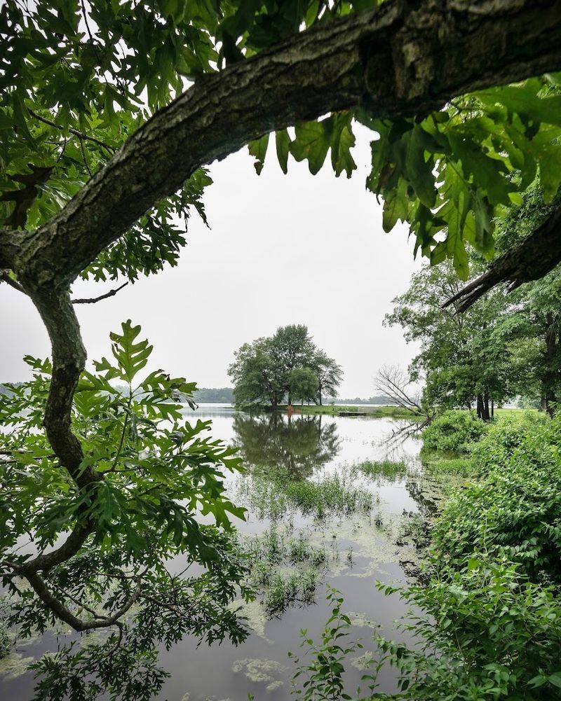 Why This Hidden Illinois Lake Is Worth the Trip