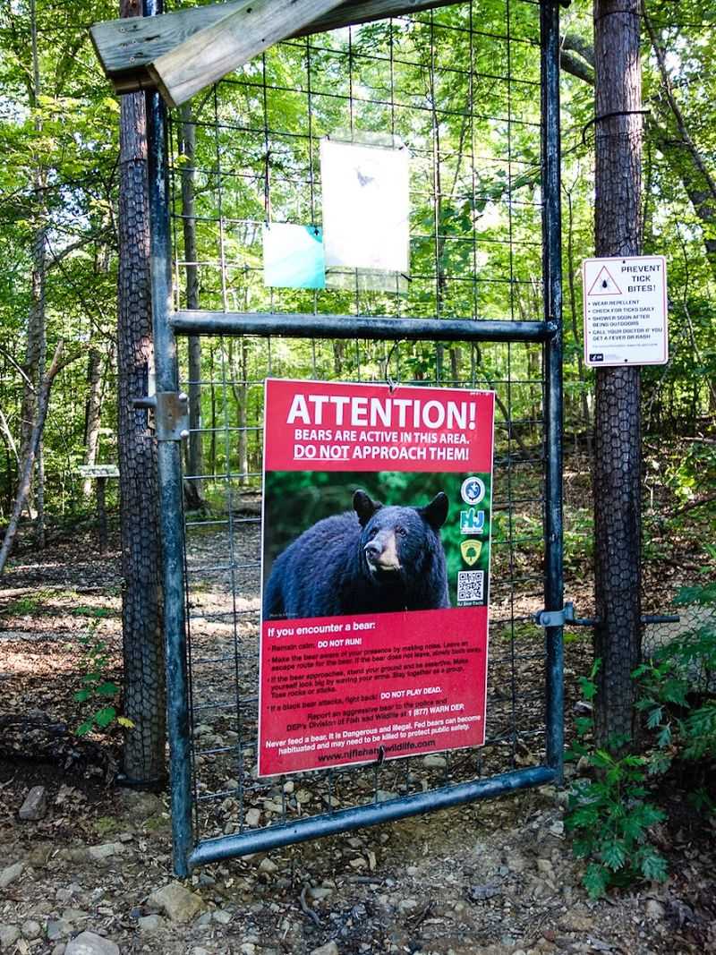 Why This Hidden New Jersey Hike Feels More Like an Adventure