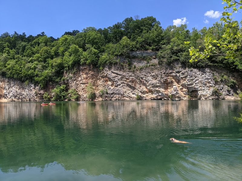 Why This Knoxville Spot Belongs on Your Tennessee Summer Bucket List