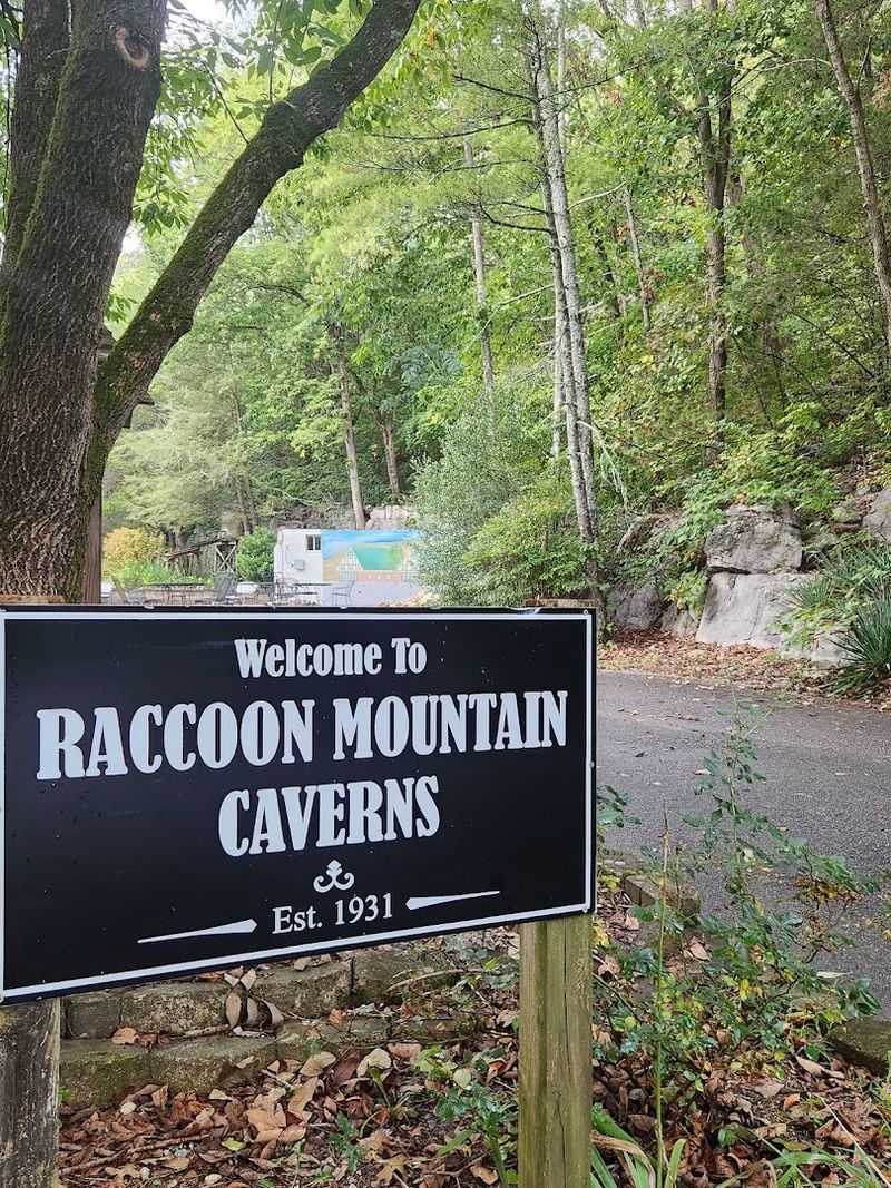 Why This Lesser-Known Cavern Deserves A Spot On Your Tennessee Bucket List