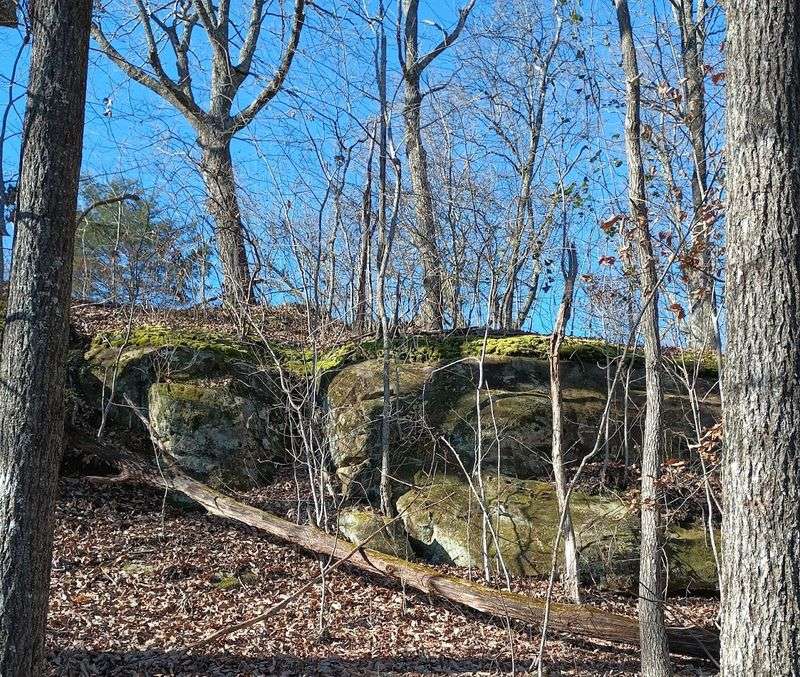 Why This New Tennessee State Park Is Perfect For Nature Lovers Why This New Tennessee State Park Is Perfect For Nature Lovers