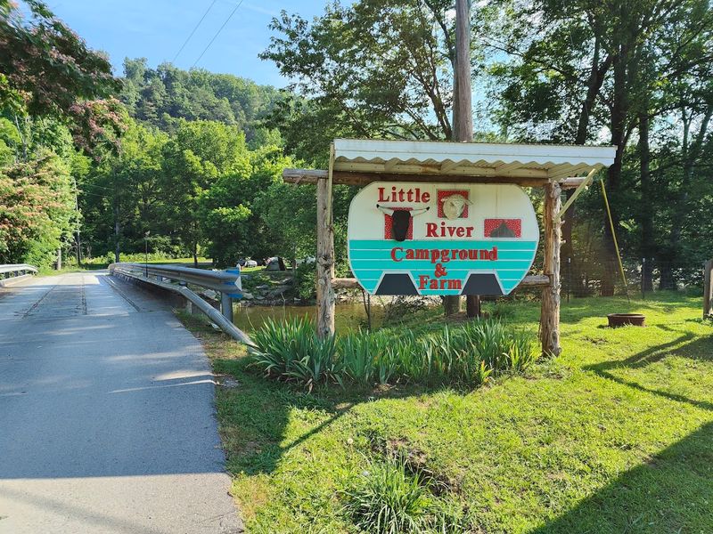Why This Peaceful Smoky Mountain Spot Feels Like a Secret