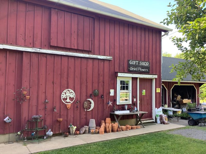 Why This Port Murray Farm Is Worth Planning a Day Trip Around Why This Port Murray Farm Is Worth Planning a Day Trip Around