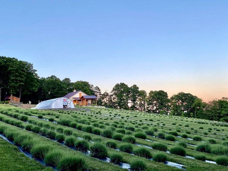 Why This Pottsville Farm Belongs on Your Pennsylvania List