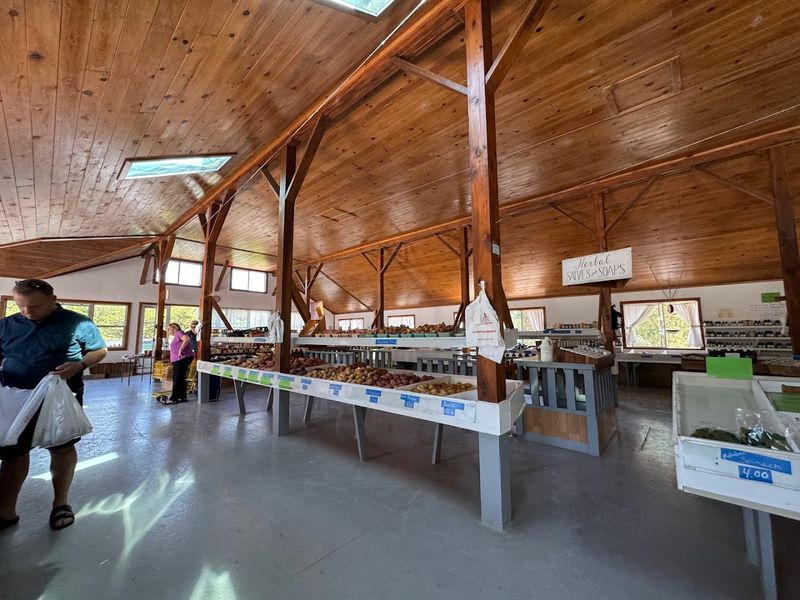 Why This Tennessee Market Feels Like a Treasure Hunt