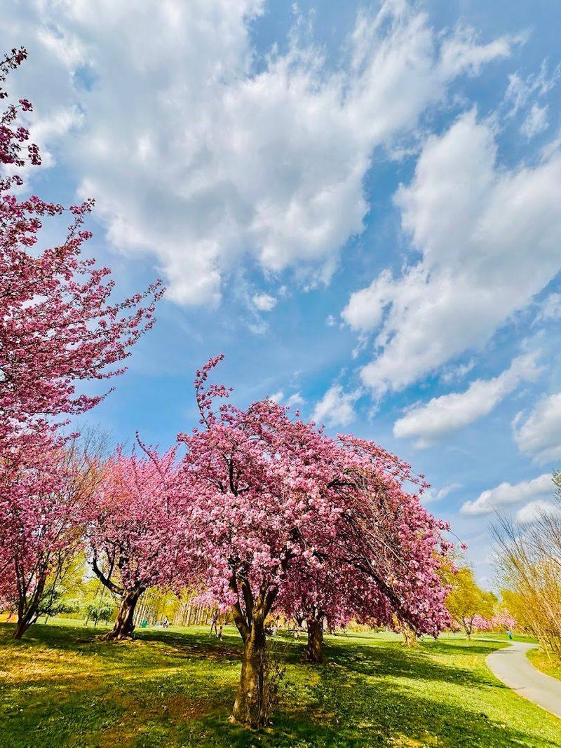 Why Warinanco Park Feels Like Union County’s Best-Kept Secret