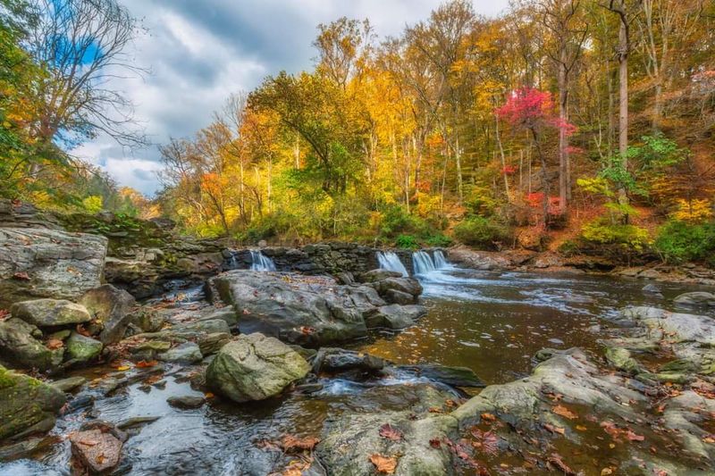 Why Wissahickon Valley Park Feels Like Another World