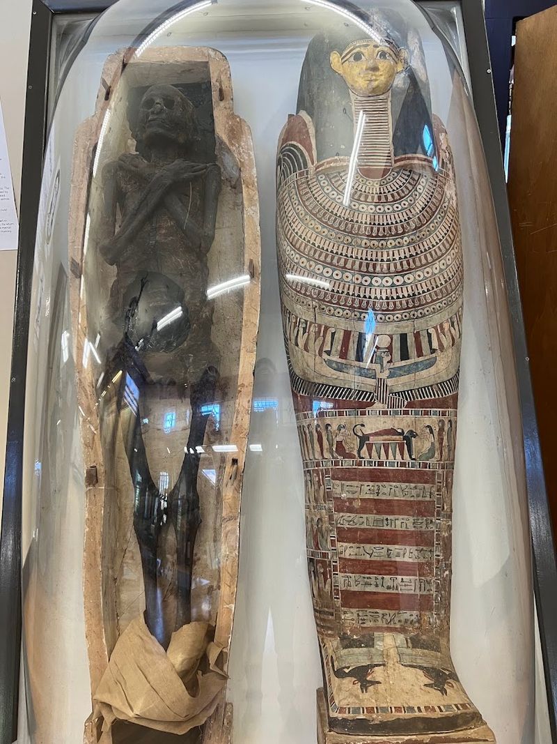 Why an Egyptian mummy ended up on a New Brunswick campus