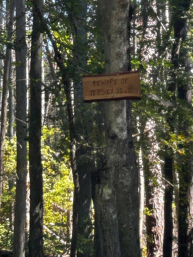 Why the Jersey Devil Still Rules the Pine Barrens