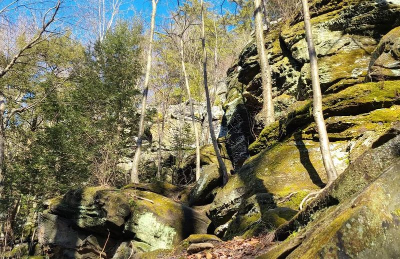 Why this 4.1-mile loop belongs on your Ohio hiking list Why this 4.1-mile loop belongs on your Ohio hiking list