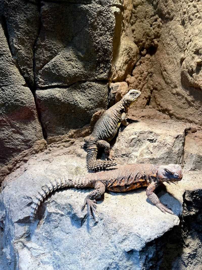 Why this Scranton attraction is worth the stop