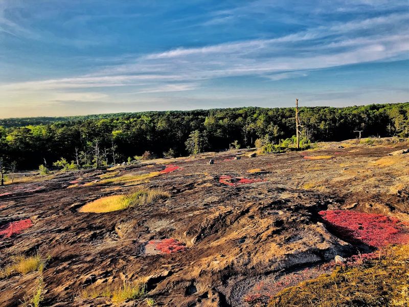 Wilburn Farm and Cascade Trails Loop (Stonecrest)