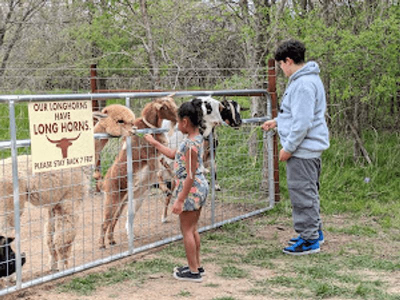 Wildlife Encounters You Won't Forget