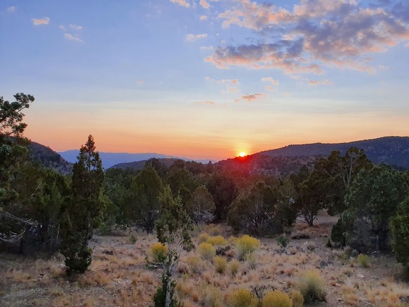 Wildlife, Quiet Nights, and a Real Sense of Escape