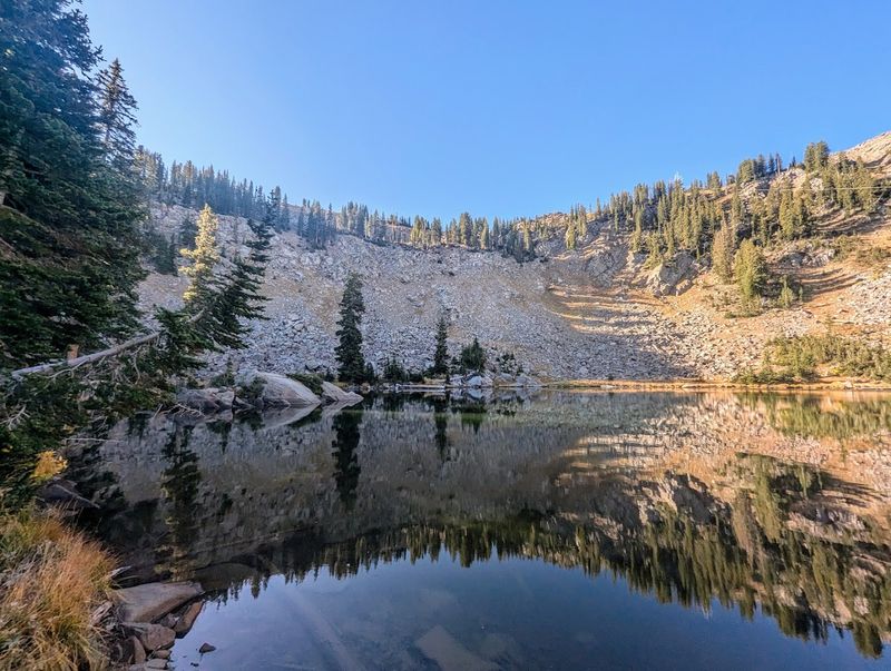 Wildlife, Stillness, and Sunset Magic