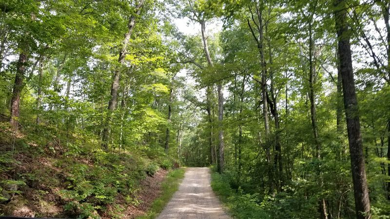 Wildlife Watching Is Another Big Reason Locals Love This Area