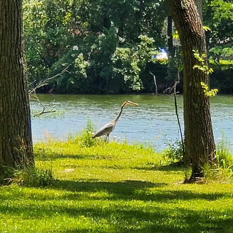 Wildlife Watching Is Better Than You Might Expect