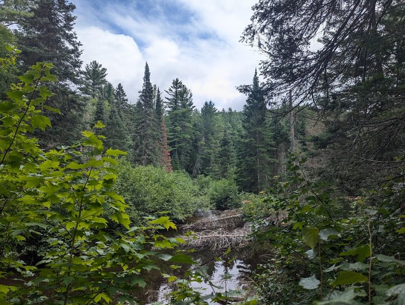 Wildlife and Nature Along the Route