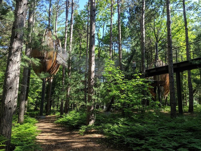 Wildlife and Nature Encounters Along the Trails