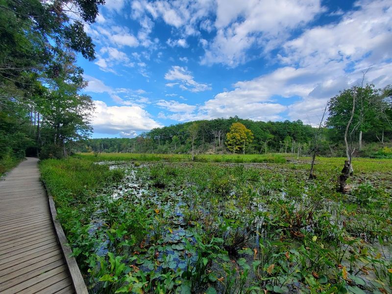 Wildlife and Wetland Views Make the Walk Worth It Wildlife and Wetland Views Make the Walk Worth It