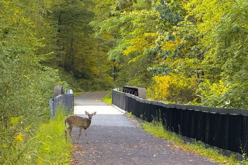 Wildlife and nature make every trip different Wildlife and nature make every trip different