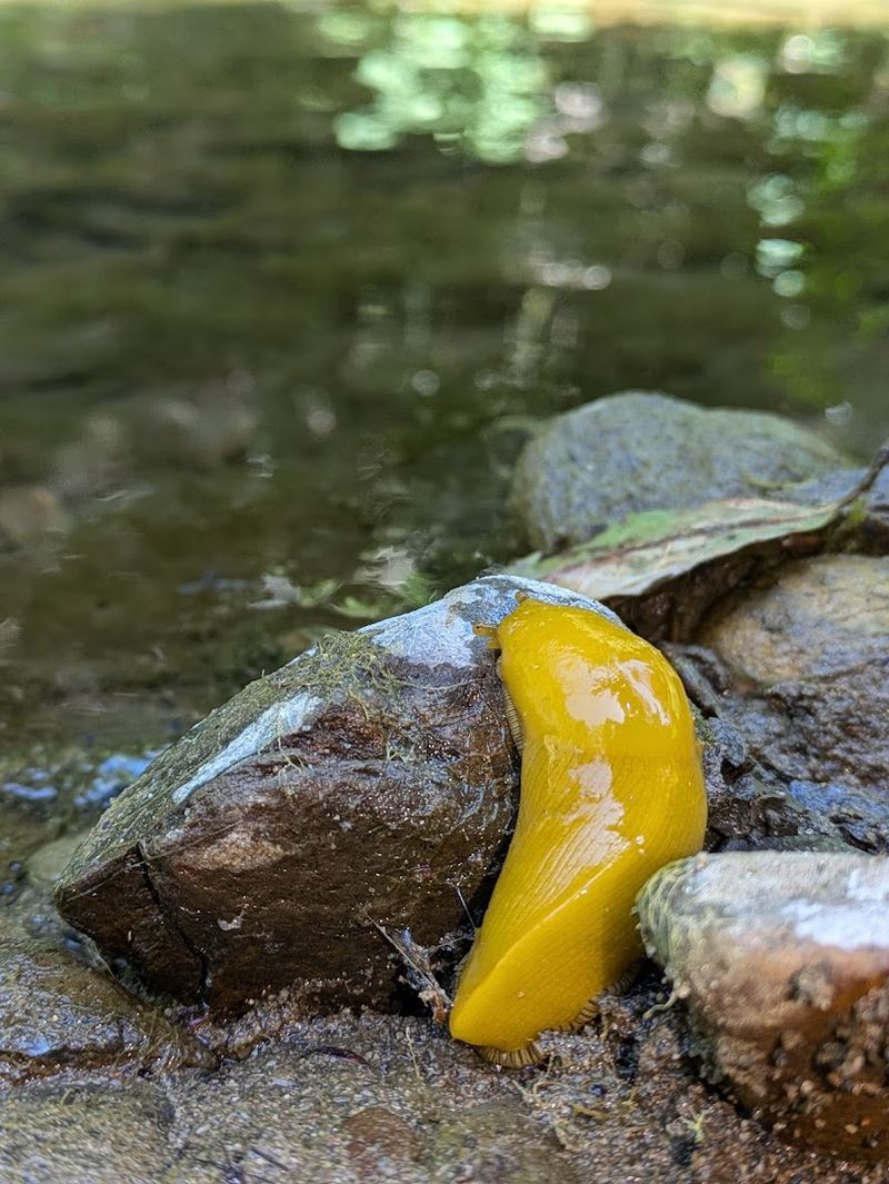 Wildlife and small details make the park memorable