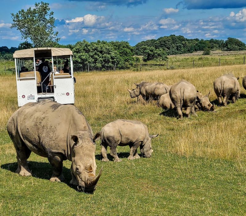 Wildside Safaris Bring You Even Closer