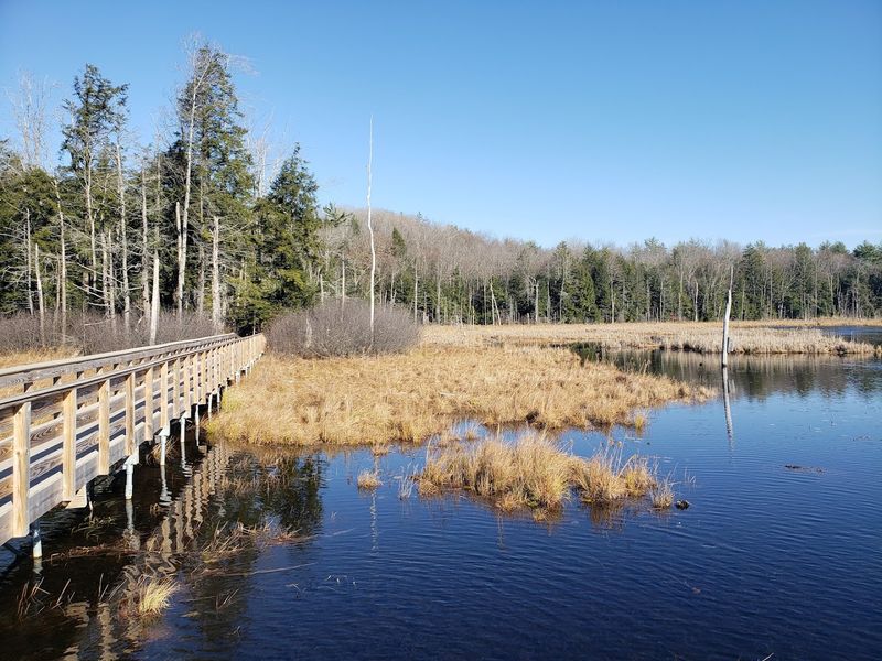 Willie Wildlife Marsh
