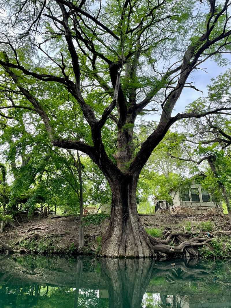 Wimberley