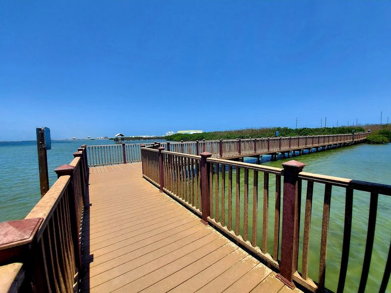 Winding Wetland Boardwalks That Go On Forever