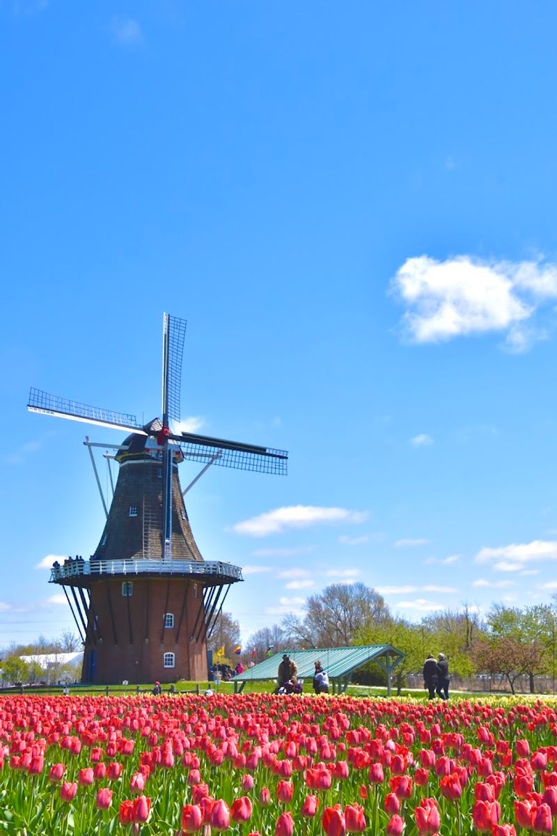 Windmill Island Gardens — Holland
