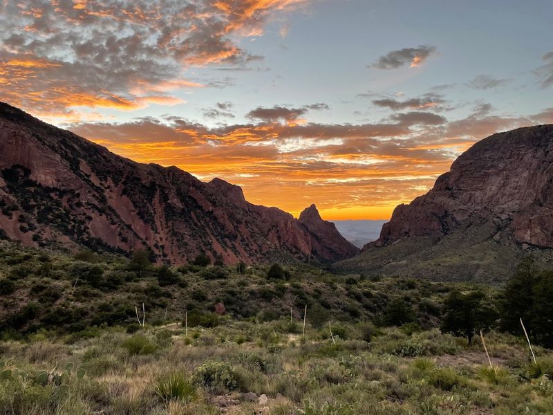 Window View Trail (Big Bend National Park)