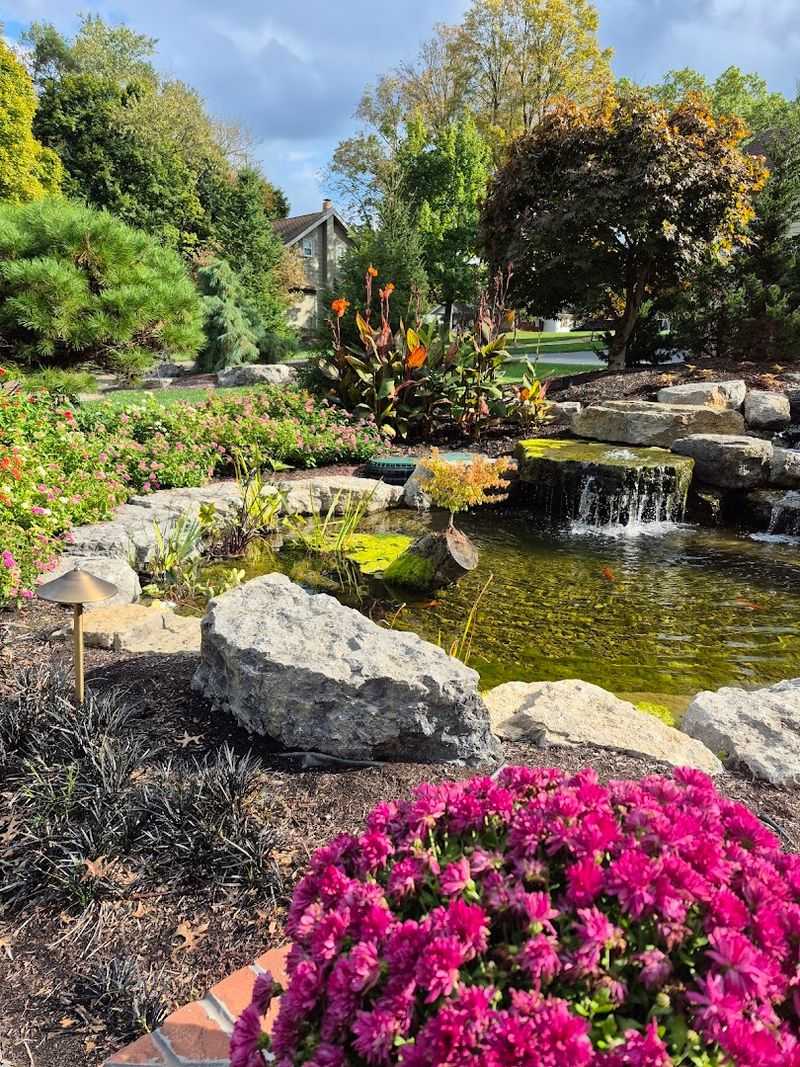 Winnie the Pooh Koi Pond Winnie the Pooh Koi Pond