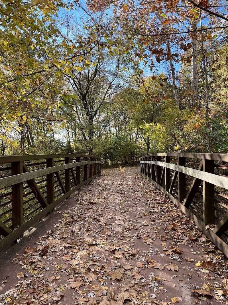 Wolf River Greenway Bridges — Memphis