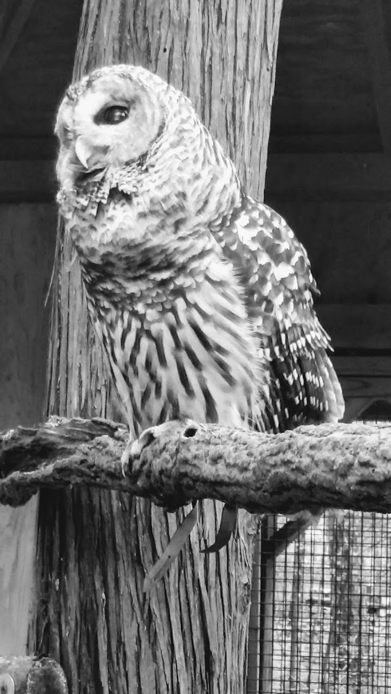 Woodford Cedar Run Wildlife Refuge - Medford