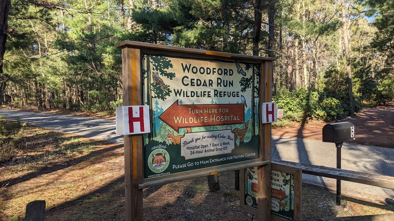 Woodford Cedar Run Wildlife Refuge in Medford